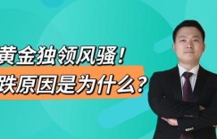 鹤岗有哪些值得尝试的副业机会？