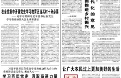 人民日报的收入来源为何如此透明干净？