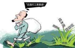 种地副业为何成新宠？农民增收的秘密武器是什么？