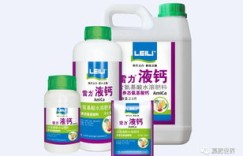 溶液也能赚钱？探索液体财富的奥秘