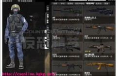 如何在CS中挑选印花实现盈利？选对印花真的能赚钱吗？