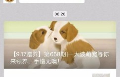 想加入河北宠物交流微信群？你知道正确的群号码是多少吗？