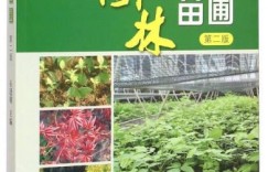 园林苗圃如何拓展副业增加收入？