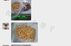 农村大姐种植哪种作物能快速盈利？