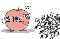 哲学专业学生如何选择合适的副业方向？
