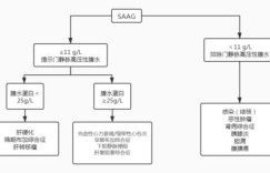如何详细描述副业收入情况？实操指南帮你理清思路