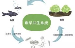 养鱼苗真的能赚钱吗？利润空间到底有多大？