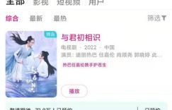 与君初相识在优酷播出后，平台盈利情况如何？