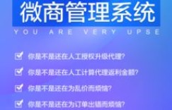 微商团队中，组员的评价标准究竟是怎样的？揭秘来了吗？