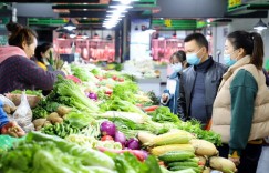 为何当下卖菜行业变得如此盈利？背后的原因是什么？