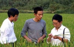 农村无业务，如何找到赚钱的门路？