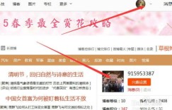 新浪博客发文能否实现盈利？写文章真的能赚钱吗？