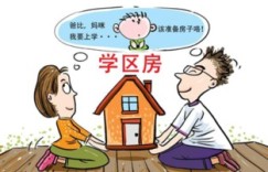 月儿的副业究竟是什么？她如何成功拓展第二收入来源？