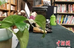 线上书店副业真的能赚钱吗？如何开启你的图书销售之旅？