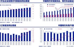 珠海开网约车真能盈利吗？收入真相究竟如何？