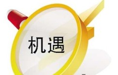 风头正劲，如何把握机遇实现盈利？