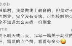 如今，裁判工作能否成为一项可行的副业选择？