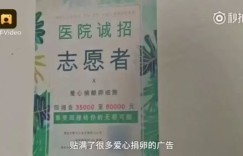 捐卵子真的能赚钱吗？背后隐藏的风险你知道吗？