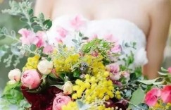 哪种花象征友谊？哪种花最能代表真挚友情？