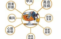 代喝酒副业真的能赚钱吗？揭秘背后的风险与收益