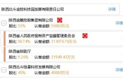 陕西北斗金控信息服务有限公司究竟如何？这家企业值得信赖吗？