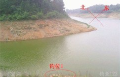 农人如何在水库捕鱼实现盈利？