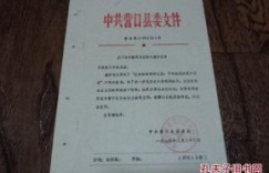同志兼职是否合规？关于兼职政策的请示与探讨