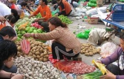 农村大姐在菜场卖哪些菜品能实现盈利？