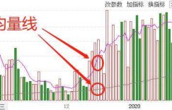 为何股票市场成为赚钱利器？探寻其盈利奥秘