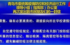 如何下载上海自助抗疫平台？这个资源库是否方便市民自我防护？