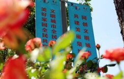 花街如何成为生财之道？揭秘其盈利秘诀