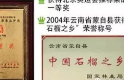 蒙自石榴微商悄然崛起，他们的成功秘诀究竟何在？