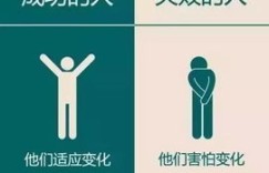 哪些属性标志着一个人成功拥有副业？