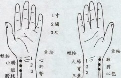 脉单效果如何？脉诊单按法究竟按压哪些部位？