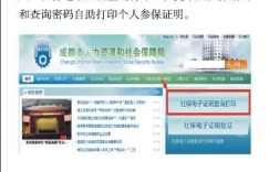 如何使用自助社保缴费平台？这是您的最佳缴费指南吗？