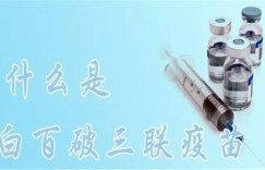 百白破疫苗究竟针对哪些疾病？它能预防什么病症？