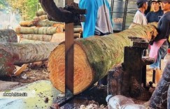 木材加工厂如何将无人问津的畸形木材，简单加工后变成高利润产品？