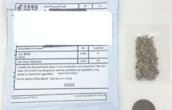 探索隐秘发货技巧，如何悄然寄送包裹给指定人士？