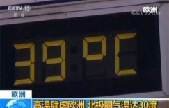 饮品店的纯利润通常能达到多少？这个数字是否出乎意料？