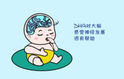 精元究竟是什么？它的效果和作用又是怎样的？