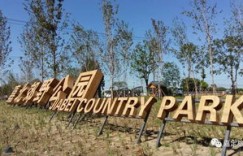 想要畅游郊野公园？哪个自助团购网站最值得一试？