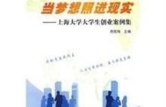 创业项目还能盈利吗？小说探讨现实与梦想的碰撞