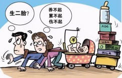 上门喂养师真的能赚钱吗？揭秘真实收入情况