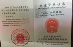 想要上船工作？必备证件、条件、费用及所需材料全解析