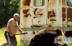 如此离奇事件究竟如何发生？英语世界为何频现此类怪象？