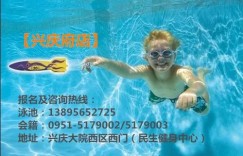 宫廷游泳如何成为赚钱之道？