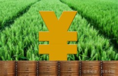 1993年承包土地真的能盈利吗？当年土地经营前景如何？