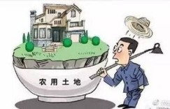 农村老爸能靠哪些手工活儿增加收入？