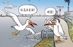 为何越是经济拮据的人越渴望快速致富？