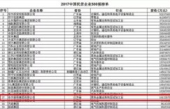 哪些民营企业位列最挣钱二十大榜单？